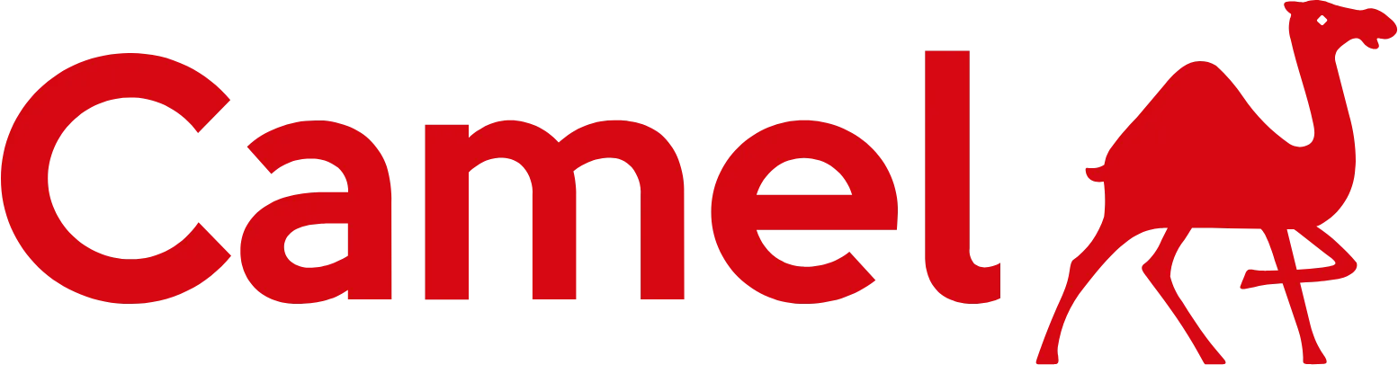 CAMLIN brand logo showcasing premium quality paints, markers, and stationery products available at Neem Galli.