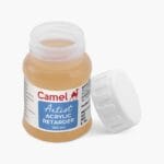 Camlin Artist Acrylic Retarder for extended drying time in painting