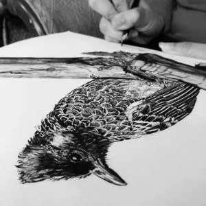 Sketching tools and materials for creating detailed drawings and artwork